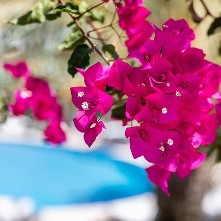 Vila Balaia - Luxury Boutique Villas Albufeira Extérieur photo